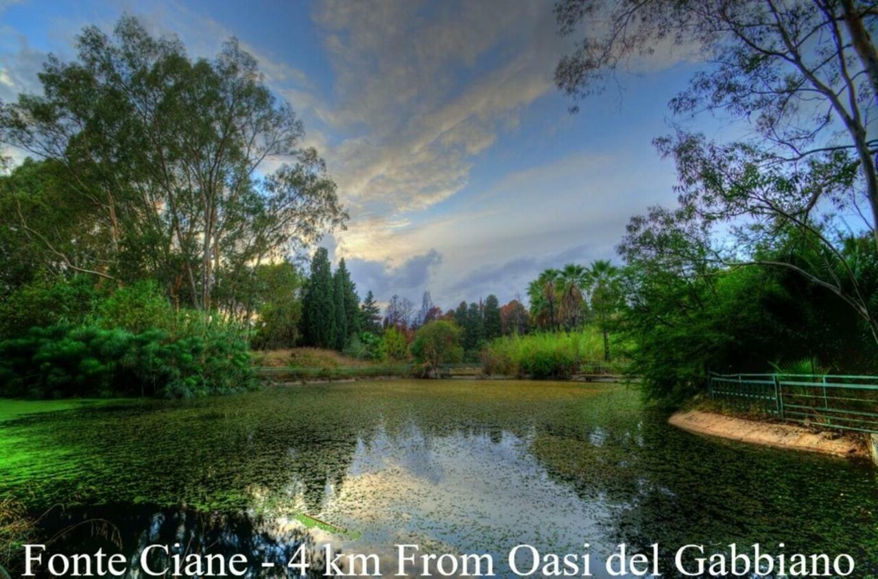 Bed and Breakfast Oasi Del Gabbiano Syracuse Exterior foto